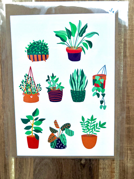 Carte Postale Botanique – Collection de Plantes Vertes