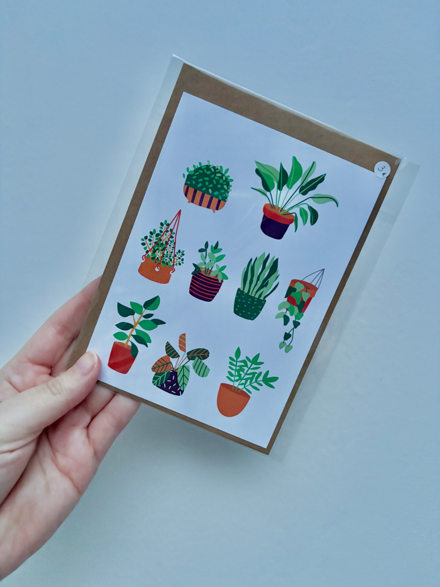 Carte Postale Botanique – Collection de Plantes Vertes