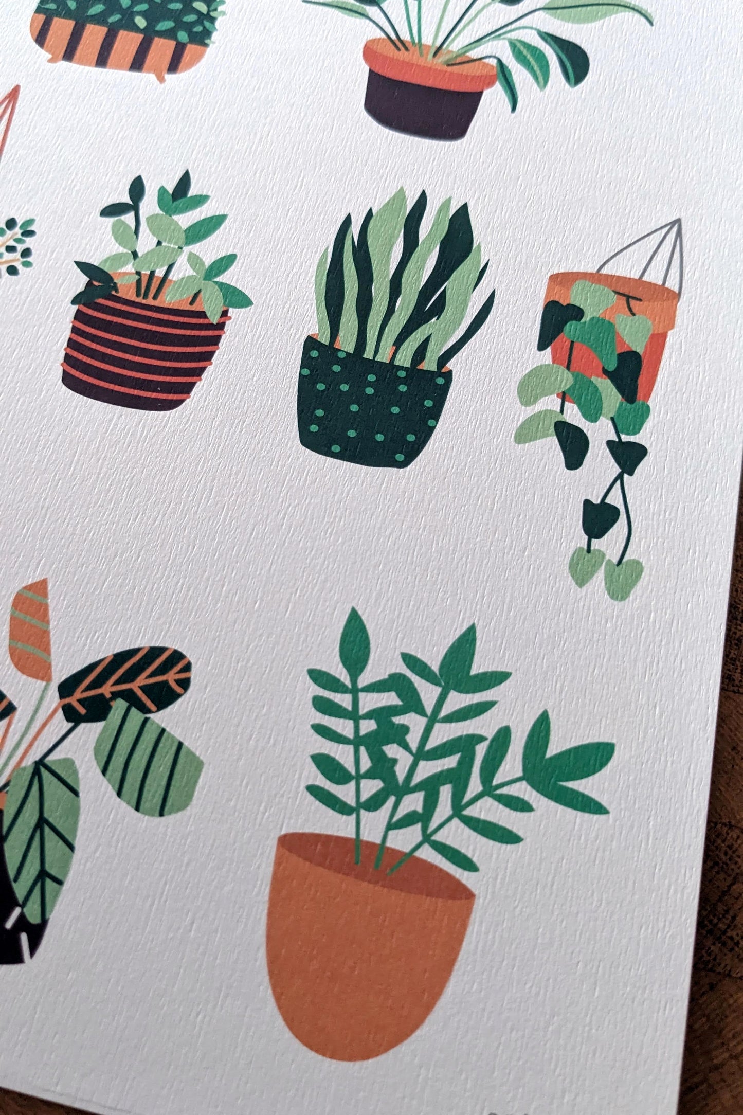 Affiche Botanique – Collection de Plantes Vertes en Pots