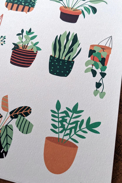 Affiche Botanique – Collection de Plantes Vertes en Pots