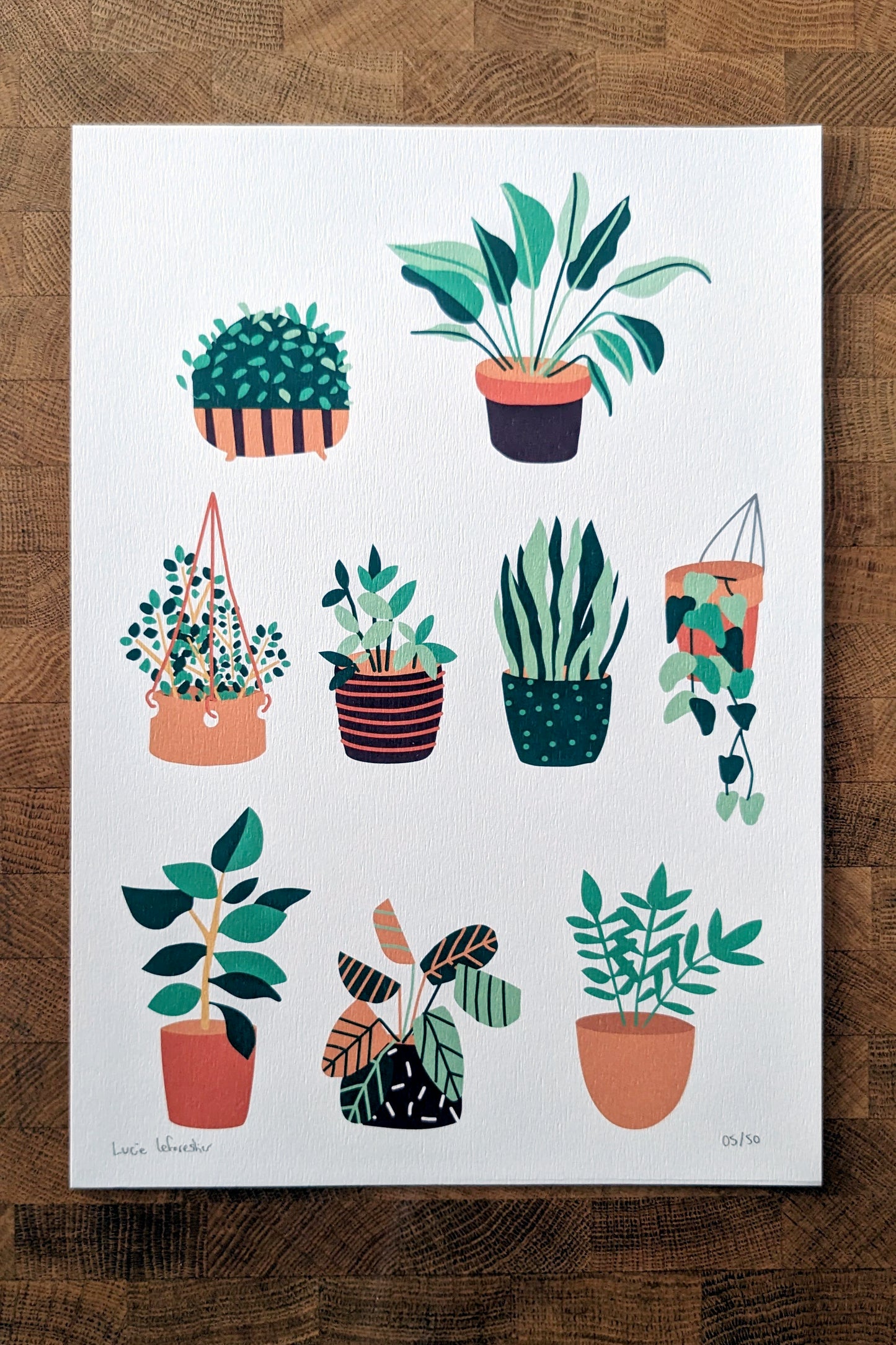 Affiche Botanique – Collection de Plantes Vertes en Pots
