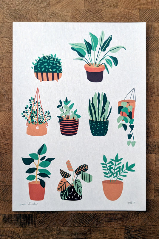 Affiche Botanique – Collection de Plantes Vertes en Pots