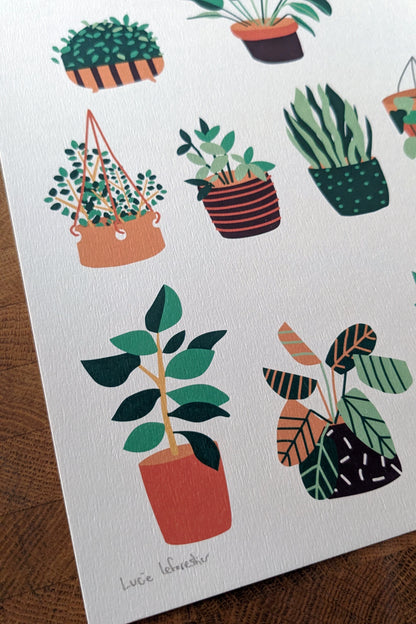 Affiche Botanique – Collection de Plantes Vertes en Pots