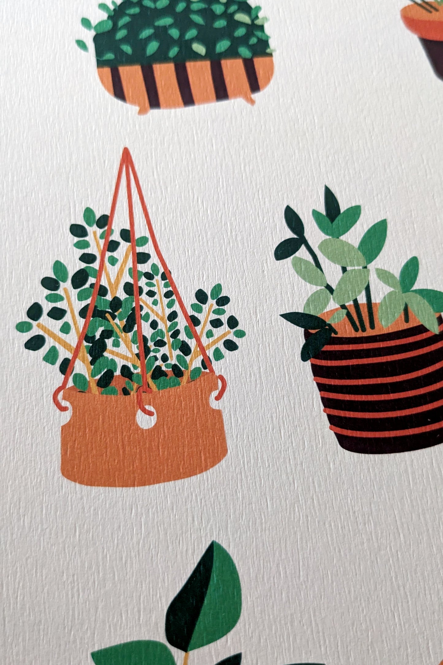 Affiche Botanique – Collection de Plantes Vertes en Pots